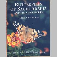 Butterflies of Saudi Arabia thumbnail